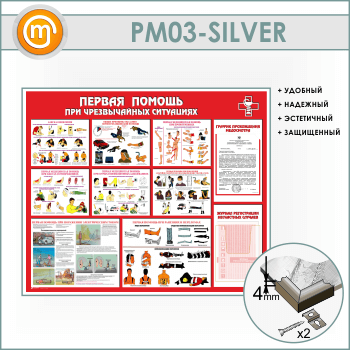            (PM-03-SILVER)