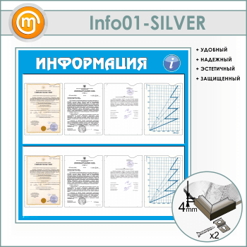    8  4  (IN-01-SILVER)