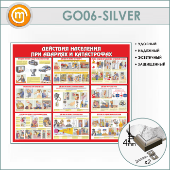        (GO-06-SILVER)