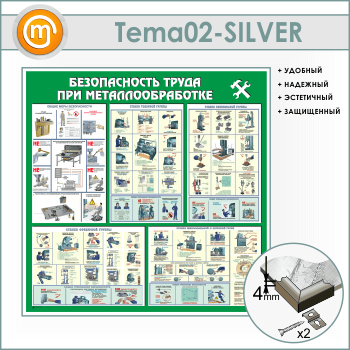      (TM-02-SILVER)