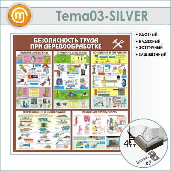      (TM-03-SILVER)