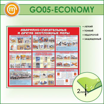  -     (GO-05-ECONOMY)