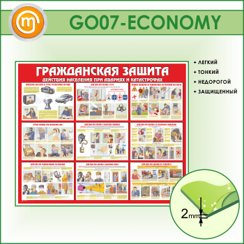    (GO-07-ECONOMY)