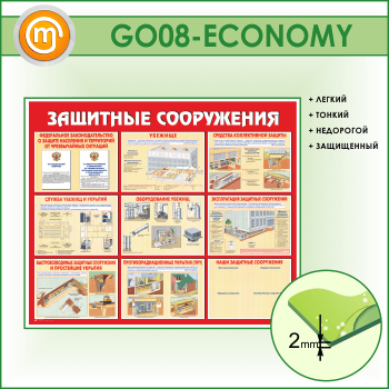    (GO-08-ECONOMY)