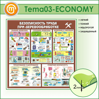      (TM-03-ECONOMY)