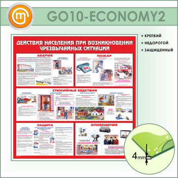        (GO-10-ECONOMY2)