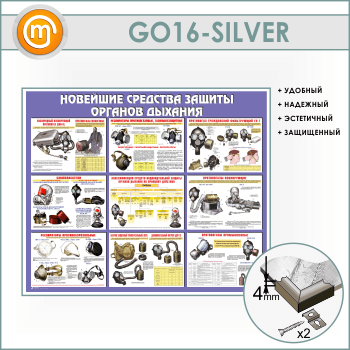       (GO-16-SILVER)