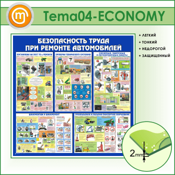       (TM-04-ECONOMY)