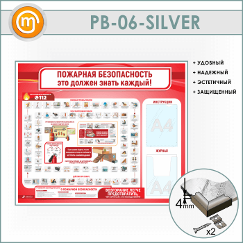   .          (PB-06-SILVER)