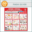       (PM-04-SILVER)