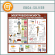  .     (EB-06-SILVER)