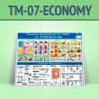      (TM-07-ECONOMY)