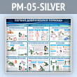     (PM-05-SILVER)