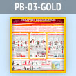   .    (PB-03-GOLD)