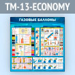    (TM-13-ECONOMY)