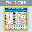    (TM-13-GOLD)